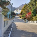 한국자연사박물관 이미지