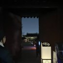[기자단] 창덕궁에서 온 초대장 : ✮ ⋆ ˚｡✩​ 창덕궁 달빛기행 ✮ ⋆ ˚｡ ⋆｡°✩