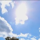 조은목장 이미지