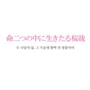플라워살롱낭 이미지