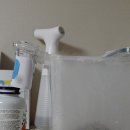 두티동물병원 | [3] 북생 첫 동물 병원에 방문하다 (대구/시지 동물 병원)