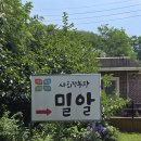 순용농장 | 창원 사회적 농장 밀알 피자 만들기 통밀 놀이 물놀이 체험 후기