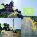 귤향체험농장