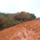 신대림주유소 이미지