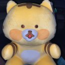 다이소 호랑이 굿즈 :: 2022 신년 복호랑이 시리즈 후기