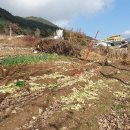원통초등학교신덕분교장 이미지