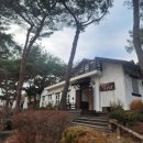파파스브로트 이미지