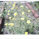 중평초교 이미지