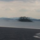 오고가고민박 이미지