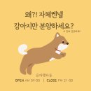 은아 펫 타운 이미지