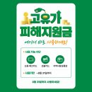 경희마루한약국 네이버블로그