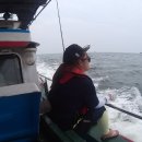 일오삼낚시 이미지