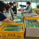 영동1번지 이미지