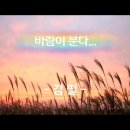 바람이 분다 - 김필 이미지