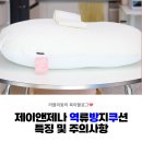 제이앤제나 역류방지쿠션 특징과 내돈내산 솔직후기