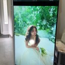 예랑아트 | 웨딩촬영 헤어변형 아트원영 대대대만족 후기 내돈내산 (헤어변형 9번)