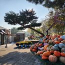 바다향기 이미지