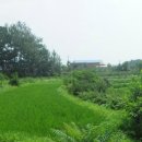 현덕 축구장 이미지