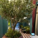 클라우디커피(CLOUDY COFFEE) | 선정릉역 맛집 아니다파르크 이용 후기 - 기념일, 데이트 코스