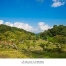 천년의 정원 이미지