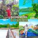 국수나무(상인점) | 마나도 투어 토모혼 화산 당일 여행코스 총정리