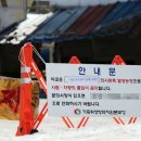 경기양돈 이미지