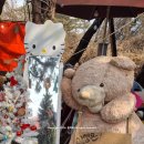 미나리슈퍼 | 의왕 오전상회 알새우미나리전 후기 메뉴 주차 예약 전현무계획3맛집