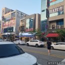 참치현2 이미지