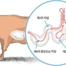 호사양곱창 이미지