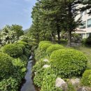 평창돌문화체험관 | [평창여행 ②] 육백마지기, 평창돌문화체험관, 계촌클래식축제