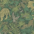 레그노일 이미지