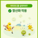 비타민이야기 이미지