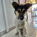 봉오대로556번길 이미지