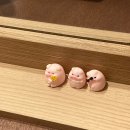 함덕조용한게스트하우스 | [함덕게하 '막내돼지'] 포근하고 조용한 함덕게스트하우스 후기
