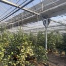 태규농장 이미지