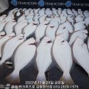 군산대박 이미지