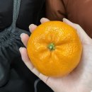 UR(의정부시)-[민락로]-하-74 | 멜크 그리고 해피뉴이어