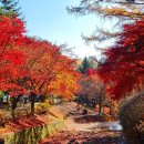 봉학골산림욕장 이미지