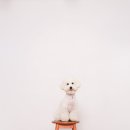 장자대로1번길 이미지