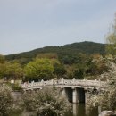 H9181 이미지