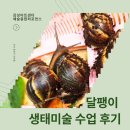 느린 달팽이 | 부산 동래구 미술학원 감성아트센터 – 달팽이 생태미술 수업 후기