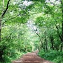 (주)사려니 이미지