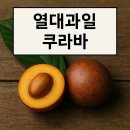 신비한 열대과일 쿠라바의 모든 정보