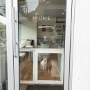 MUNE(무네) 이미지