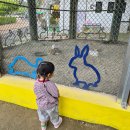 사랑이 있는 어린이 동산 | 대구 근교 가볼만한곳 창녕 산토끼노래동산 가족 여행 추천 꿀팁