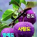 남원춘향제~~ 이미지