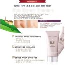 &#34; 한불화장품 달팽이비비크림 체험 후기&#34;