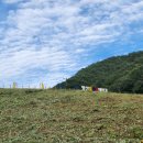 병산빛물꿈테마길 이미지