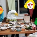 그리는제주in레이지마마 이미지