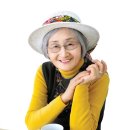 초월나비 이미지